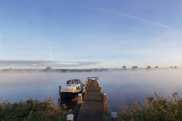 Brûzer in de ochtenddauw