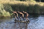 Elfstedentocht monument